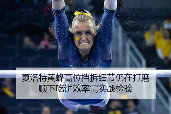 夏洛特黄蜂高位挡拆细节仍在打磨 顺下吃饼效率需实战检验